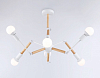 Люстра на штанге Ambrella Light TR TR80485 100_100_2023498