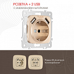 Розетка с заземлением и со шторкой и 2хUSB, без рамки Arte Milano am-205 205.47-1.shampan 250_100_2167152