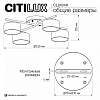 Потолочная люстра Citilux ESPACE CL243141 100_100_2877250