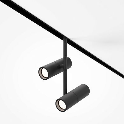 Трековый светильник Technical TR005-4-2X12W-DS-B 400_400_834490