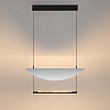 Подвесной светильник Odeon Light Next 7015/20L 100_100_1730435