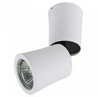 Накладной светильник Lightstar Rotonda 214456 500_191_2448278