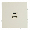 Розетка 2хUSB type A и C без рамки Stekker Эмили 49879 100_100_2160103