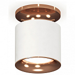 Накладной светильник Ambrella Light XS XS7401142 250_100_Array