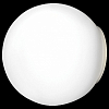 Накладной светильник Lightstar Globo 803010 100_100_1713622