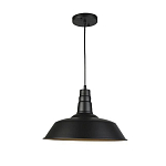 Подвесной светильник Seven Fires Kiarano WD3503/1P-BK-GD 250_100_Array