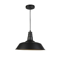 Подвесной светильник Seven Fires Kiarano WD3503/1P-BK-GD 500_191_2464555