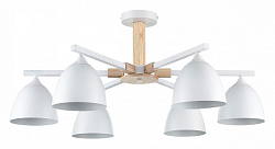 Люстра на штанге Lumion Colange 8095/6C 250_100_Array