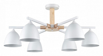 Люстра на штанге Lumion Colange 8095/6C 500_191_2423646