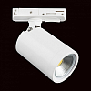 Светильник на штанге Lightstar Rullo 212936 100_100_1717814