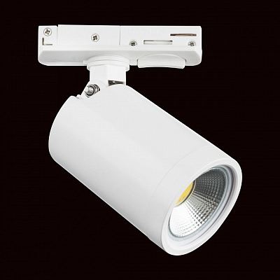 Светильник на штанге Lightstar Rullo 212936 400_400_1717814