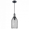 Подвесной светильник Vele Luce Maestro 1 VL6512P11 100_100_1910405