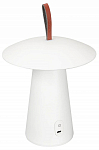 Настольная лампа декоративная Arlight SP-PATIO 030051 250_100_Array