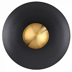 Накладной светильник Odeon Light Adamas 4223/13WL 250_100_Array
