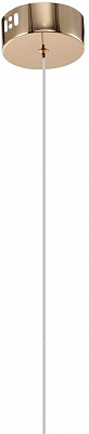 Подвесной светильник Zortes Ringer ZRS.57792.17 400_400_1995822