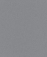 35655 Обои Marburg (1*12) 10,05x0,53 винил на флизелине 500_191_2319843