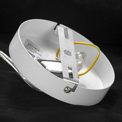 Люстра подвесная Lussole LSP-8268-G 400_400_1941248