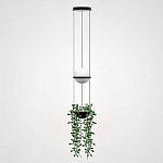 Подвесной светильник Imperiumloft Palma Wall Lamp 22.93727 250_100_1975632