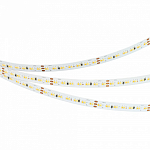 Лента светодиодная Arlight MICROLED 036214 250_100_1894788