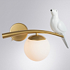 Бра Arte Lamp Eltanin A3422AP-1GO 100_100_1823429