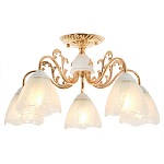 Потолочная люстра MyFar Nicole MR1661-5C 250_100_1994033