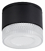 Накладной светильник Arte Lamp Piautos A1926PF-1BK 100_100_2444316