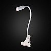 Настольная лампа офисная Citilux Ньютон CL803060N 100_100_1670251