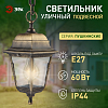 Подвесной светильник Эра  НСУ 04-60-001 бронза 100_100_3092369