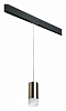 Подвесной светильник Lightstar Rullo PRORP43131 100_100_2460355