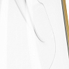 Настольная лампа декоративная Lightstar Varese 738983 100_100_1722674