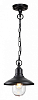Подвесной светильник Odeon Light Campa 4965/1 100_100_1725268