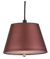 Подвесной светильник Lightstar Cappe 719213 500_191_2459996