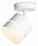 Спот Ambrella Light TN TN71055 250_100_2019475
