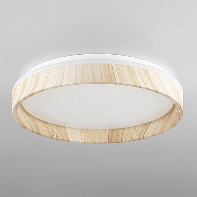 Накладной светильник Citilux ENZO CL753352G 400_400_3148895