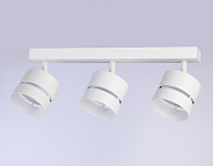 Спот Ambrella Light TN TN71062 250_100_2019497