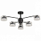 Люстра на штанге Lumion NATALINA 8349/6C