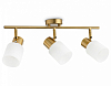 Спот Ambrella Light TR TR3972 100_100_2014225