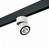 Светильник на штанге Lightstar Forte Muro PRO214816 100_100_2470995