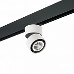 Светильник на штанге Lightstar Forte Muro PRO214816 250_100_Array