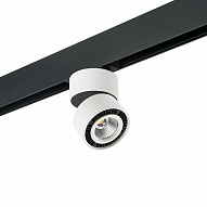Светильник на штанге Lightstar Forte Muro PRO214816 500_191_2470995