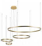 Подвесной светильник Loft it Ring 10017/4S 250_100_Array