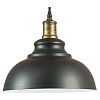 Подвесной светильник Lumion Dario 3675/1 100_100_2461516