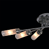 Люстра на штанге Citilux Хеликс CL109161 100_100_1686304