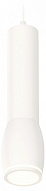 Подвесной светильник Ambrella Light XP XP1122002 500_191_2453756