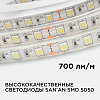 Лента светодиодная Apeyron Electrics  259BL 100_100_2178908