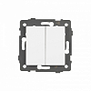 Выключатель двухклавишный без рамки Arlight SWT 049887 100_100_1601652