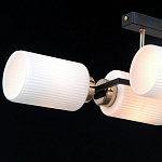 Потолочная люстра ILLUMICO NAPLES IL0809-4ASQ-25 BK AB NAPLES 250_100_2039413