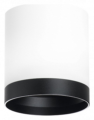 Накладной светильник Lightstar Rullo R34863487 400_400_2448327