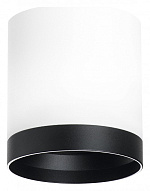 Накладной светильник Lightstar Rullo R34863487 500_191_2448327