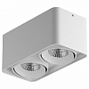 Накладной светильник Lightstar Monocco 52126 100_100_2232300